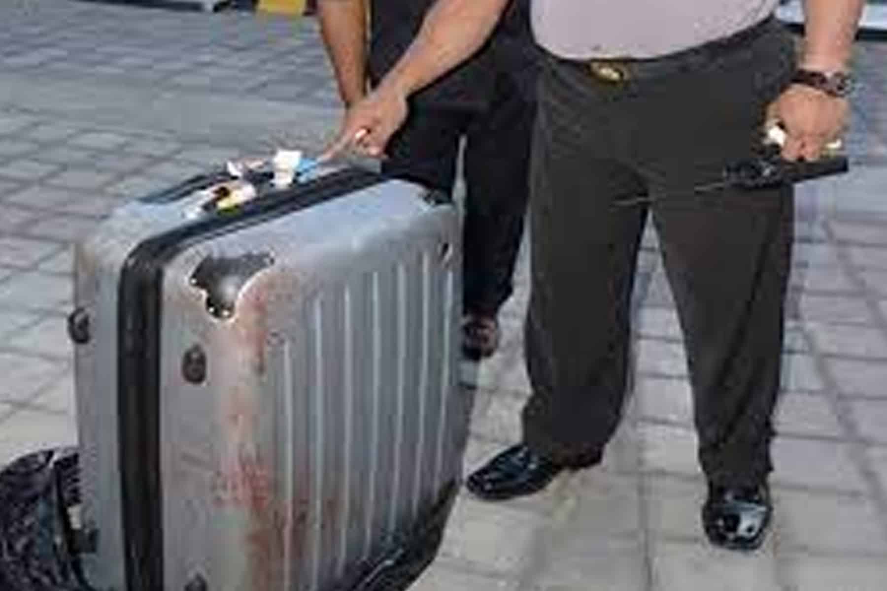 ذبح عارضة أزياء watanserb.com