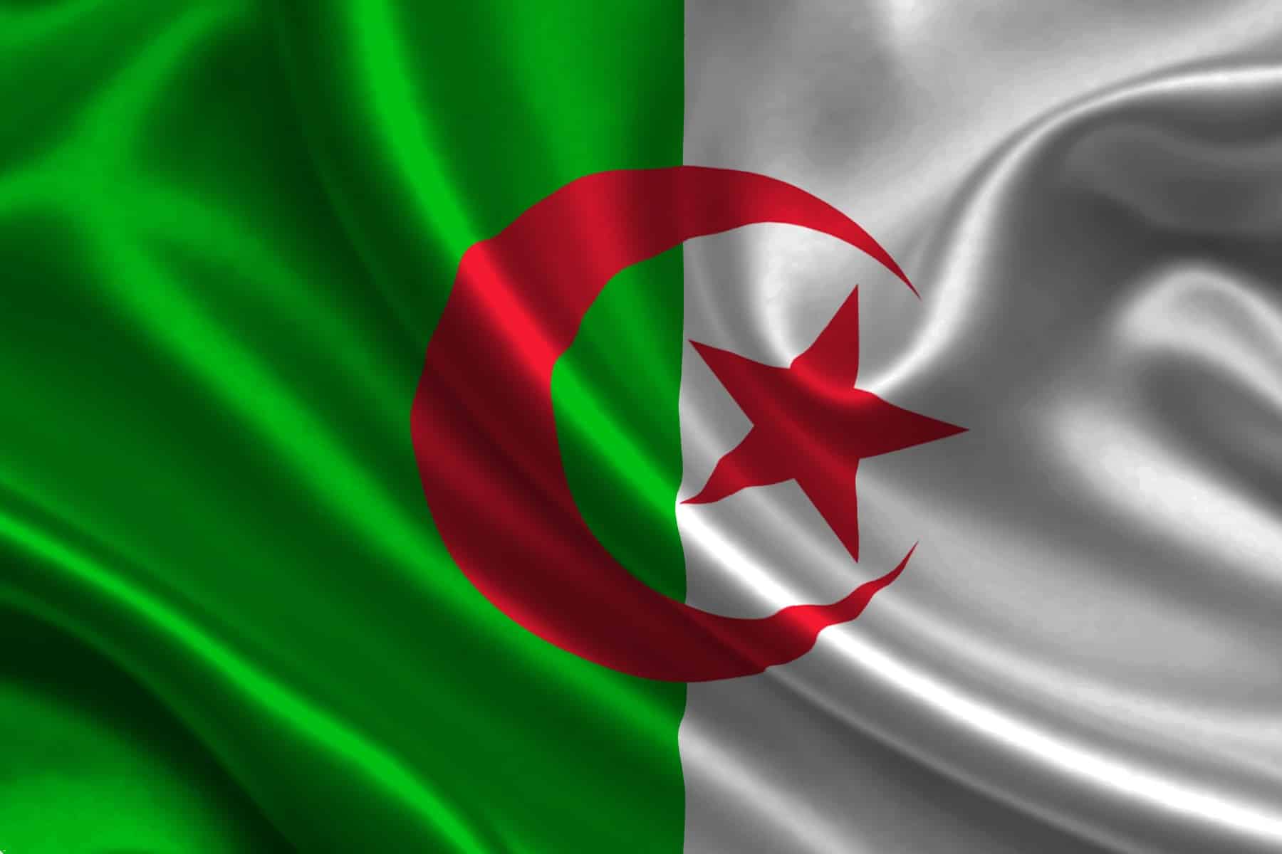 حقد السعودي على الجزائر watanserb.com