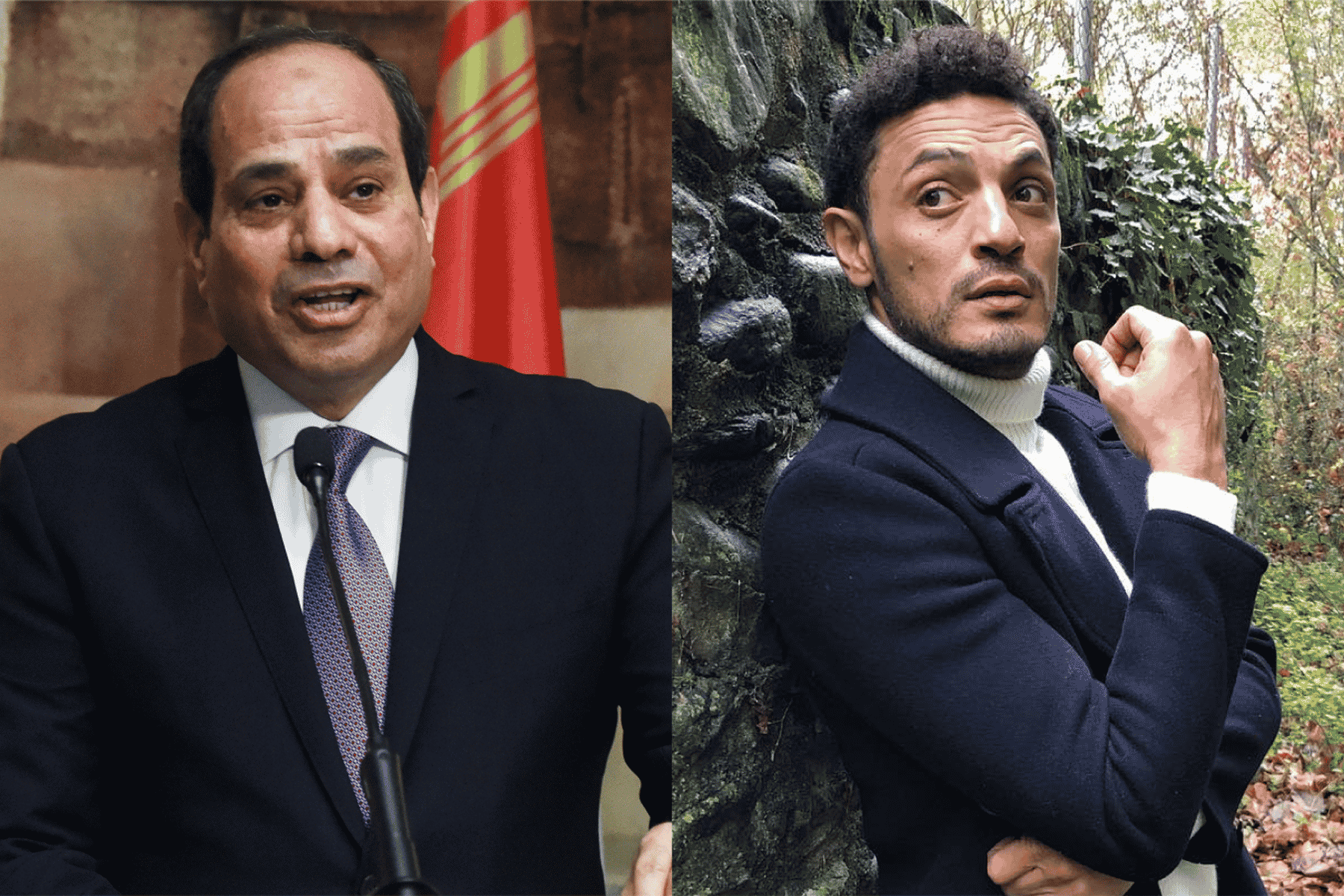 محمد علي والسيسي watanserb.com