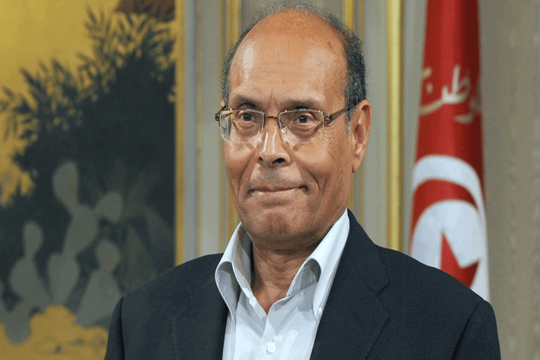 المخطط الإماراتي في تونس watanserb.com