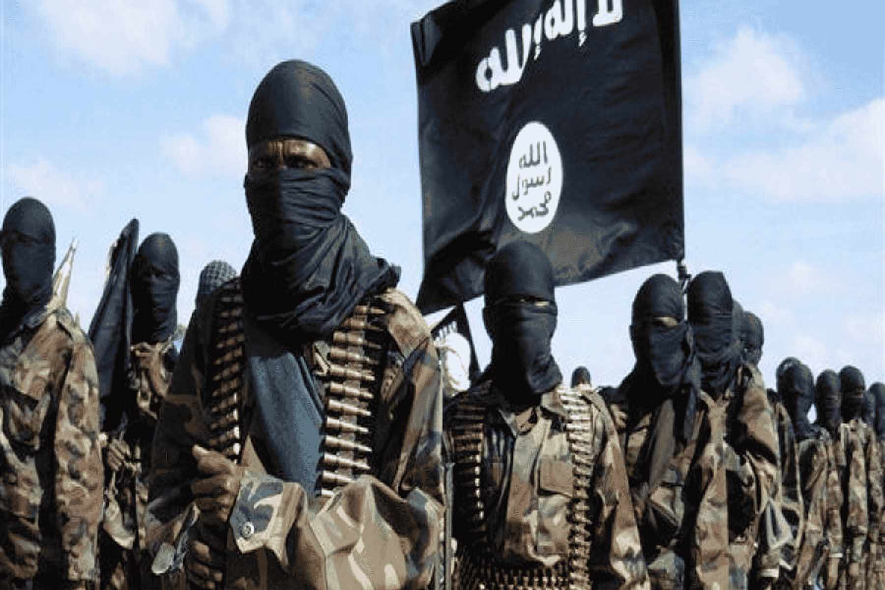 داعش في سيناء watanserb.com