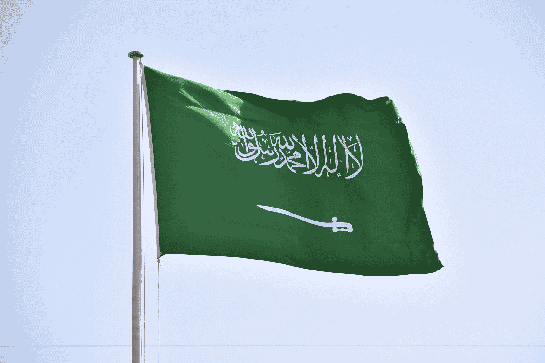 السياسة السعودية watanserb.com