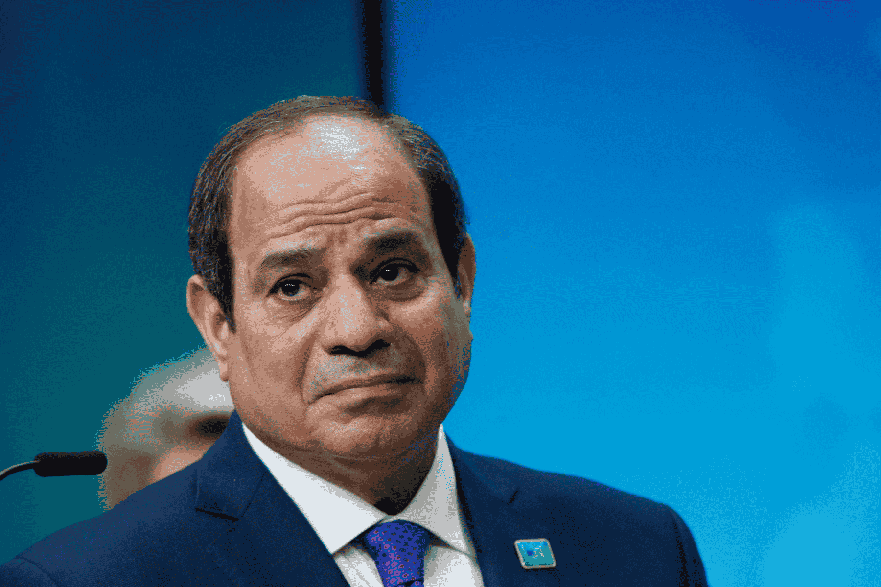 السيسي التظاهرات بقرب النهاية watanserb.com