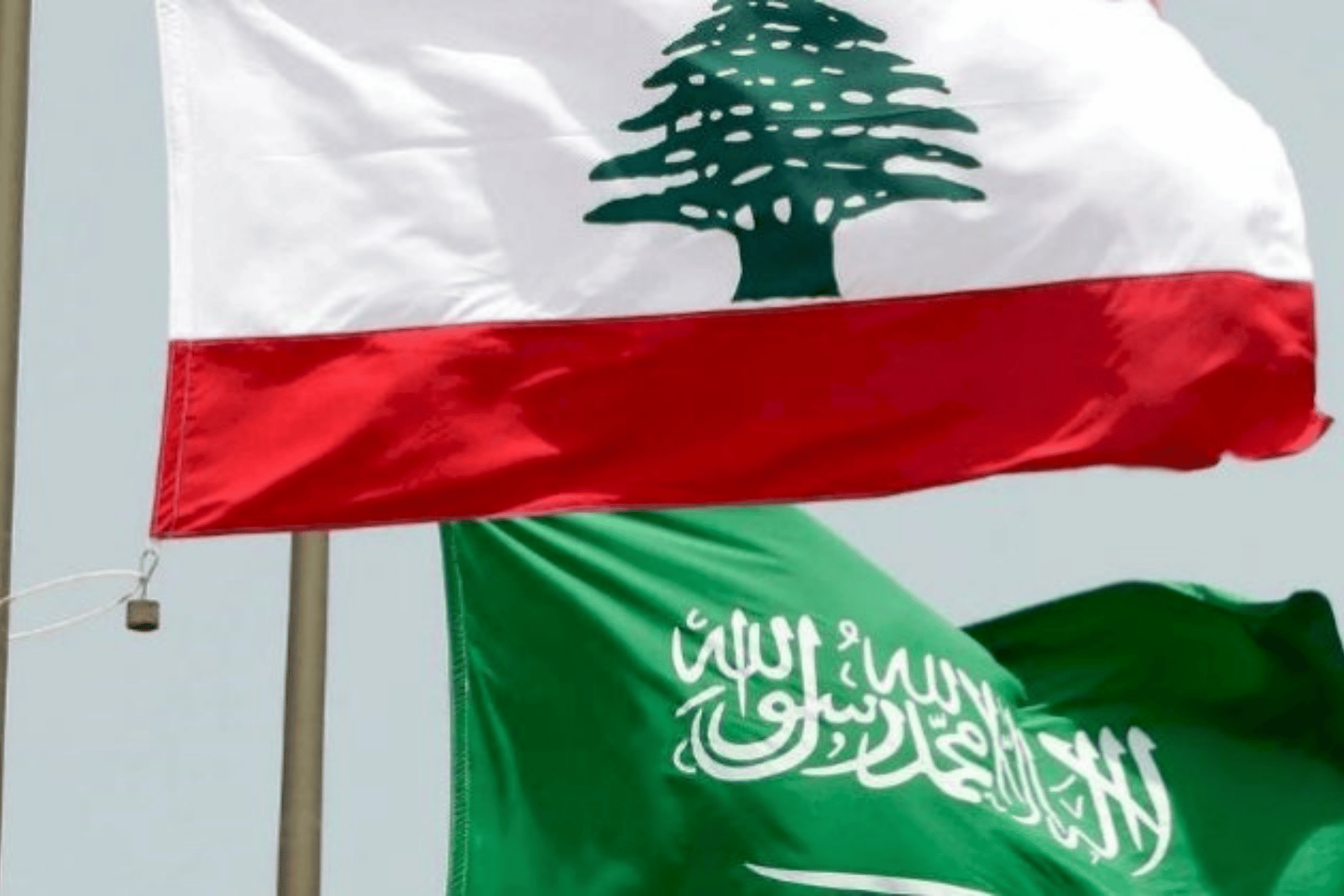 السفارة السعودية في لبنان watanserb.com