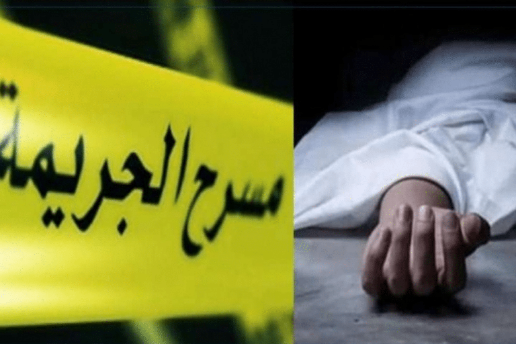 مصرية تقتل صاحب مصنع watanserb.com