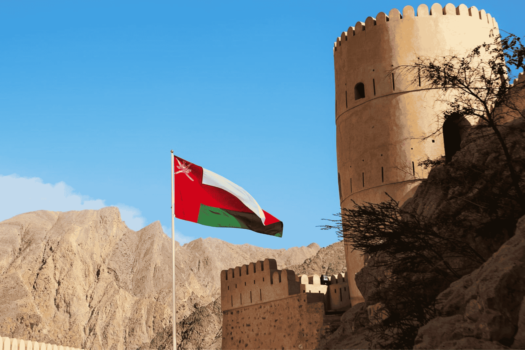 سلطنة عمان التنافسية العالمي watanserb.com