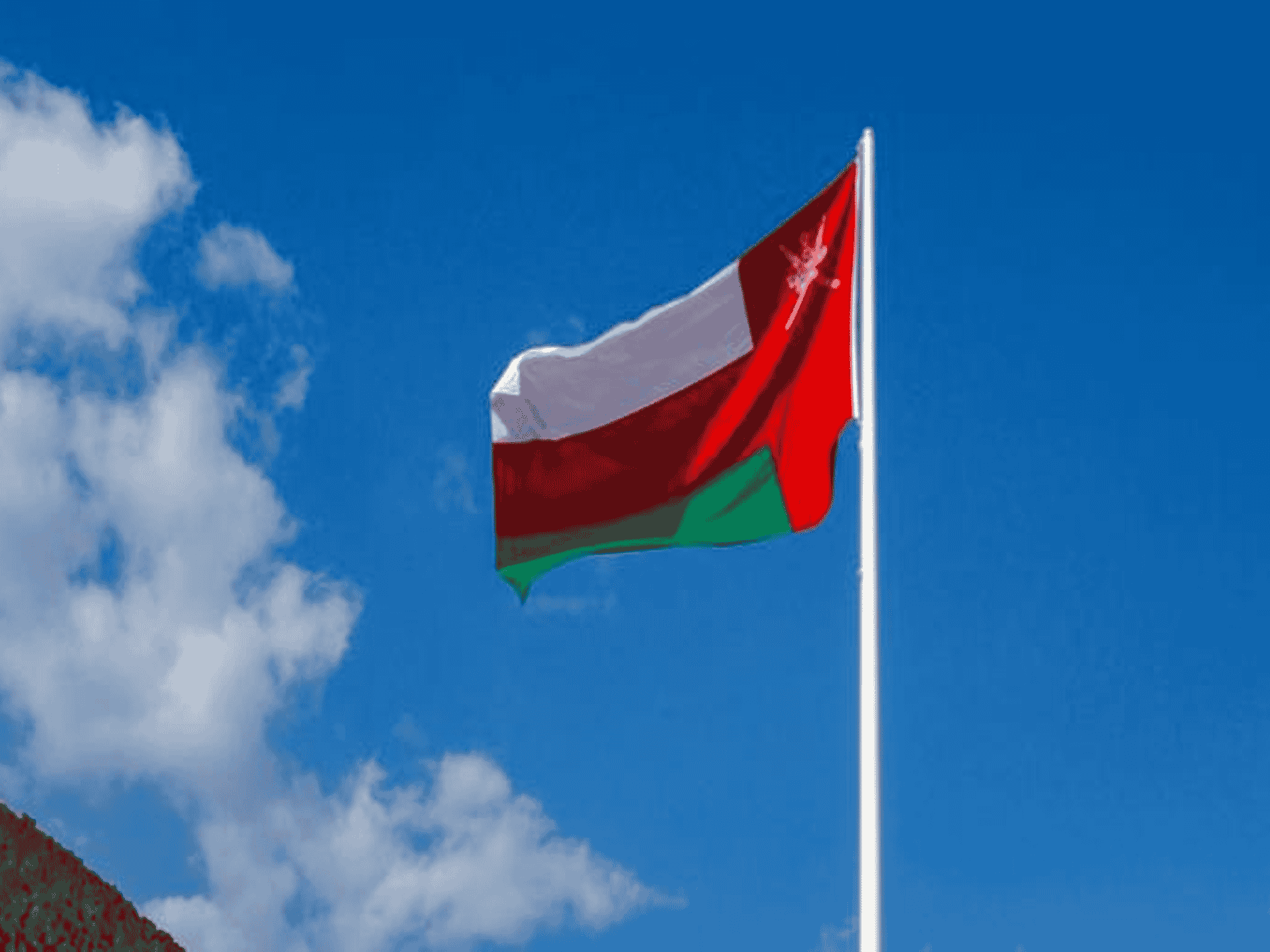 لوحة علّقتها الإمارات watanserb.com