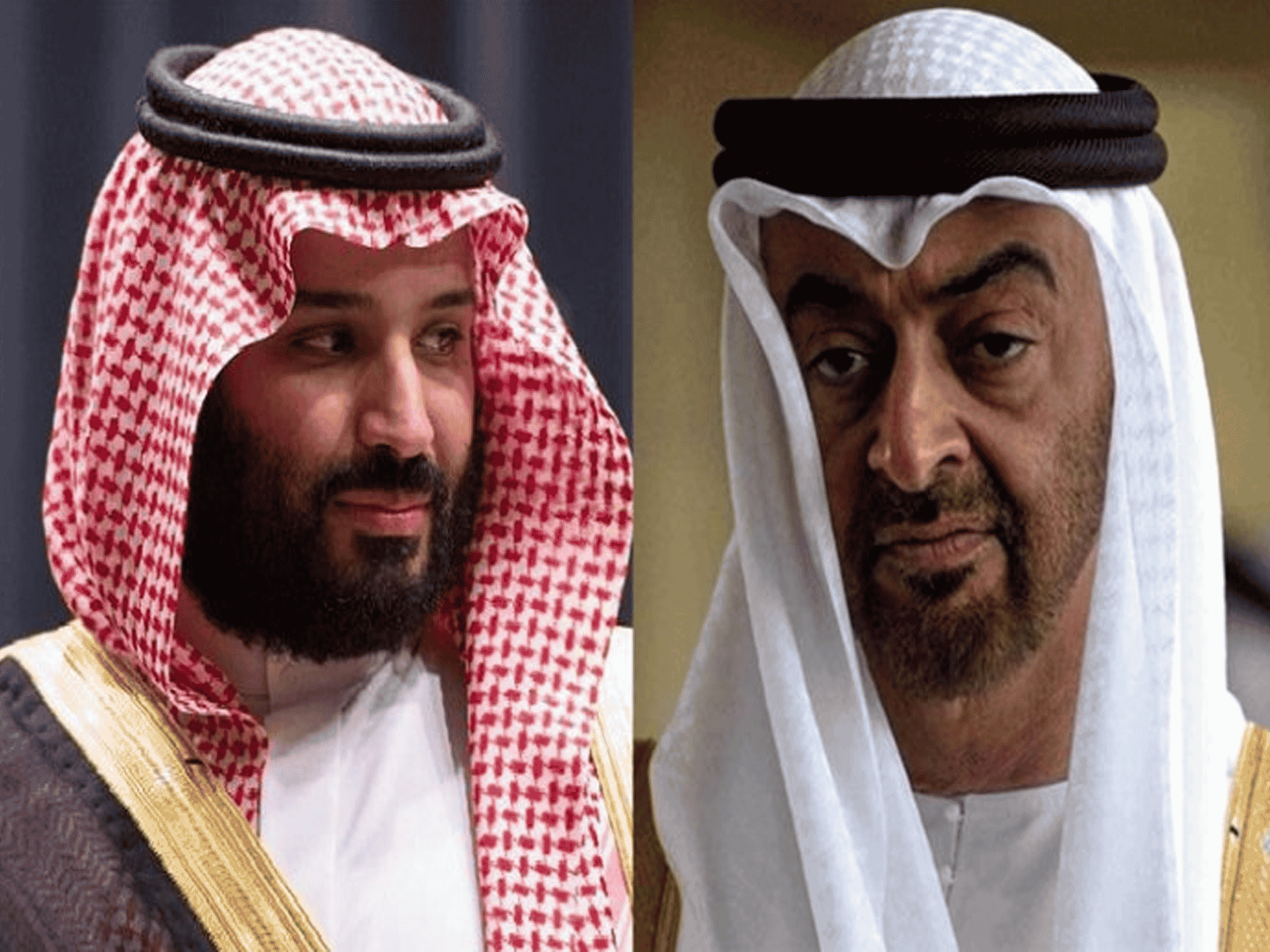 بن سلمان وبن زايد watanserb.com
