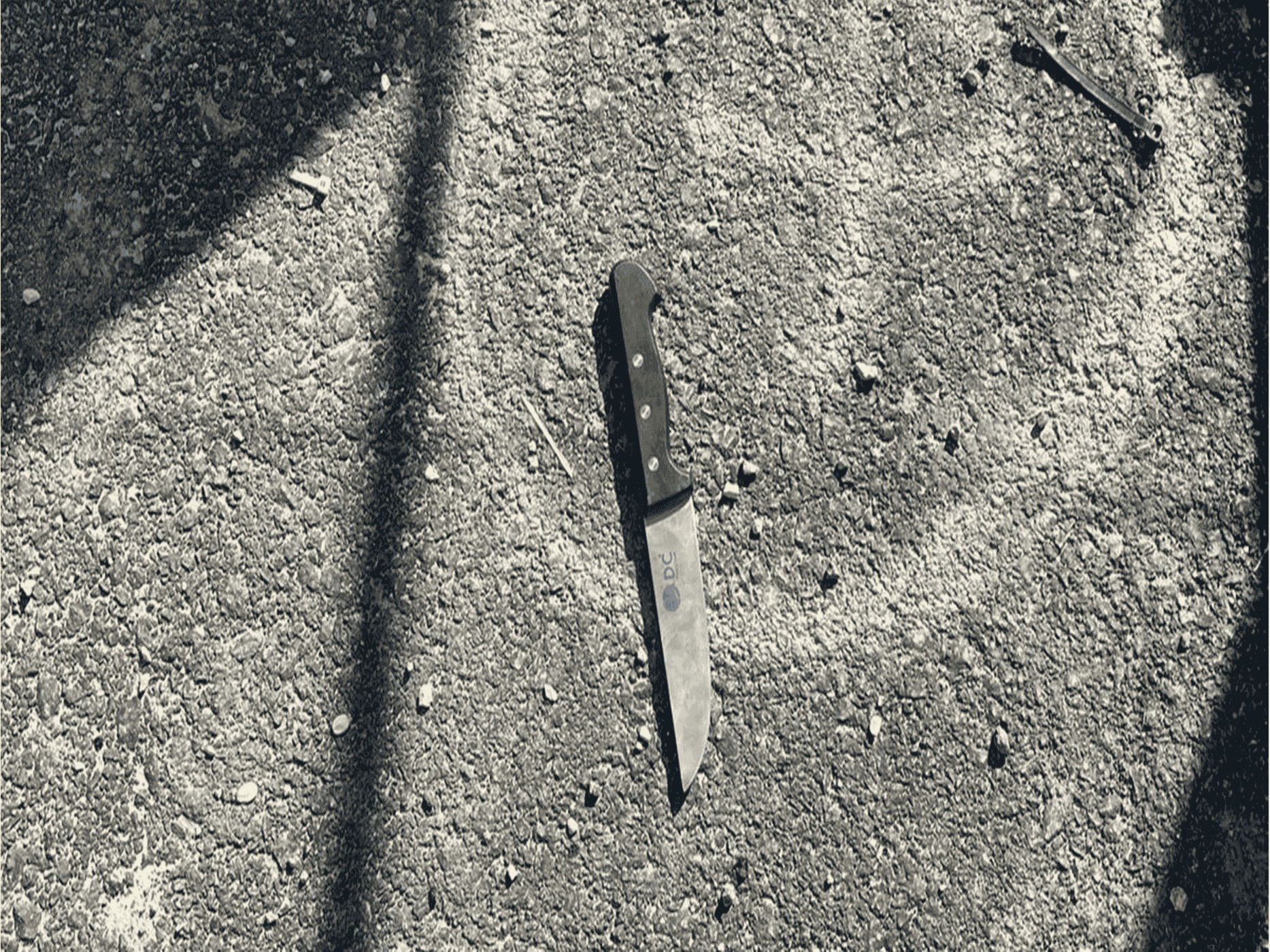 القبض على منفذ عملية الطعن watanserb.com