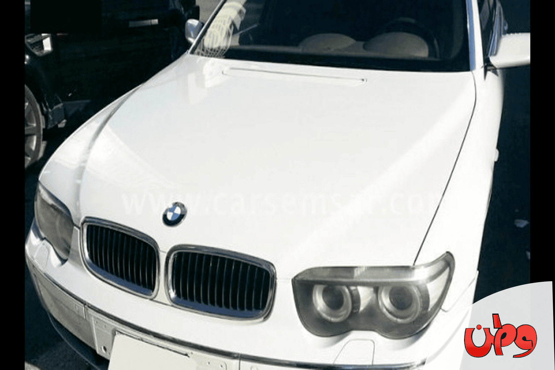 فضيحة شاب وفتاة داخل سيارة watanserb.com