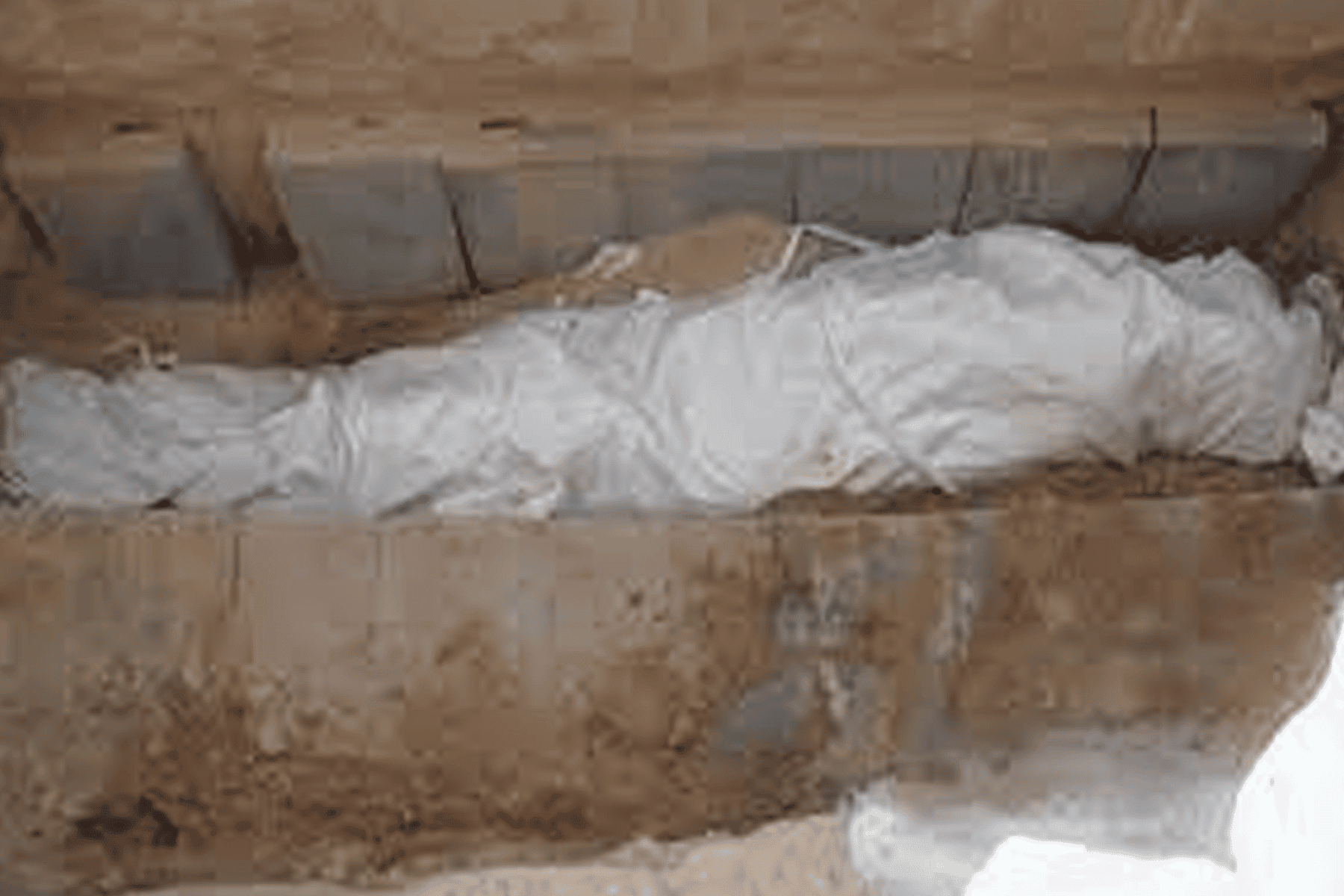 جريمة في غزة watanserb.com