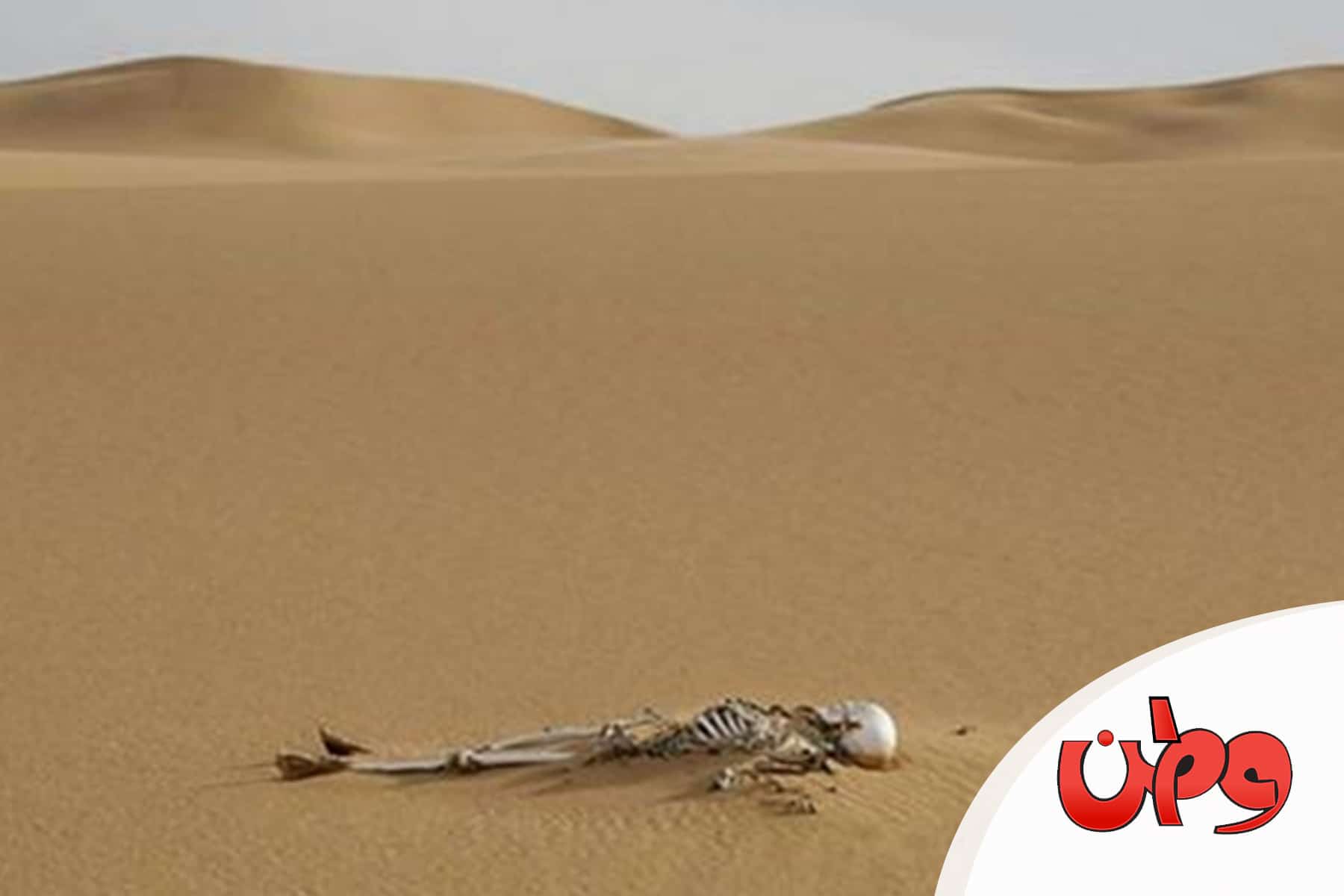 العثور على جثة سيدة في الصحراء watanserb.com