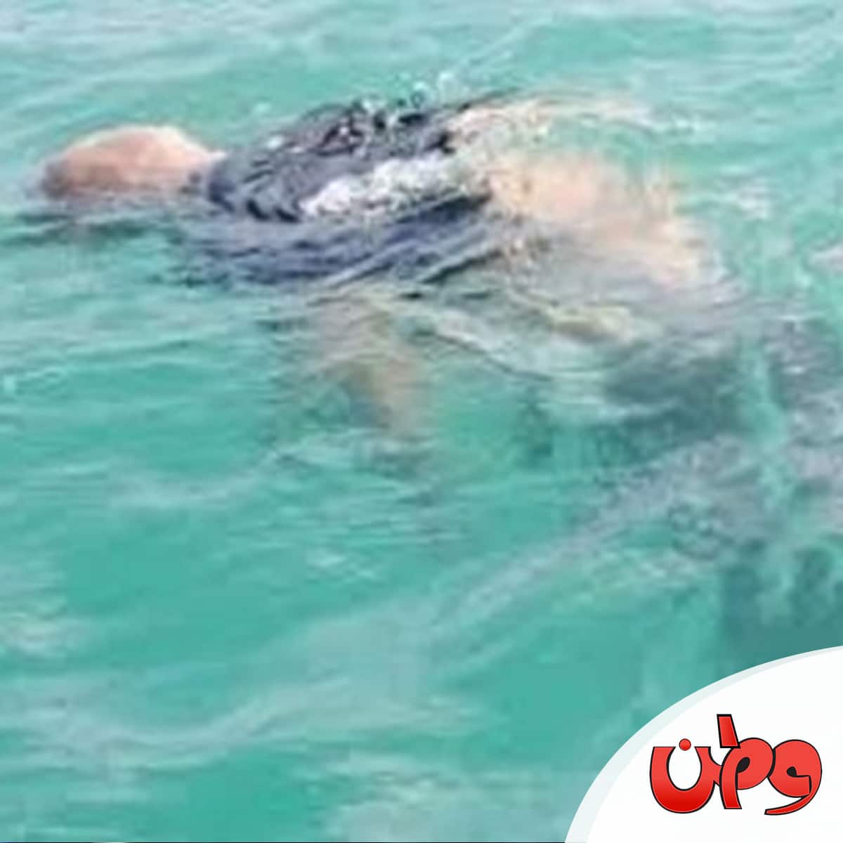 جثة في الكويت watanserb.com