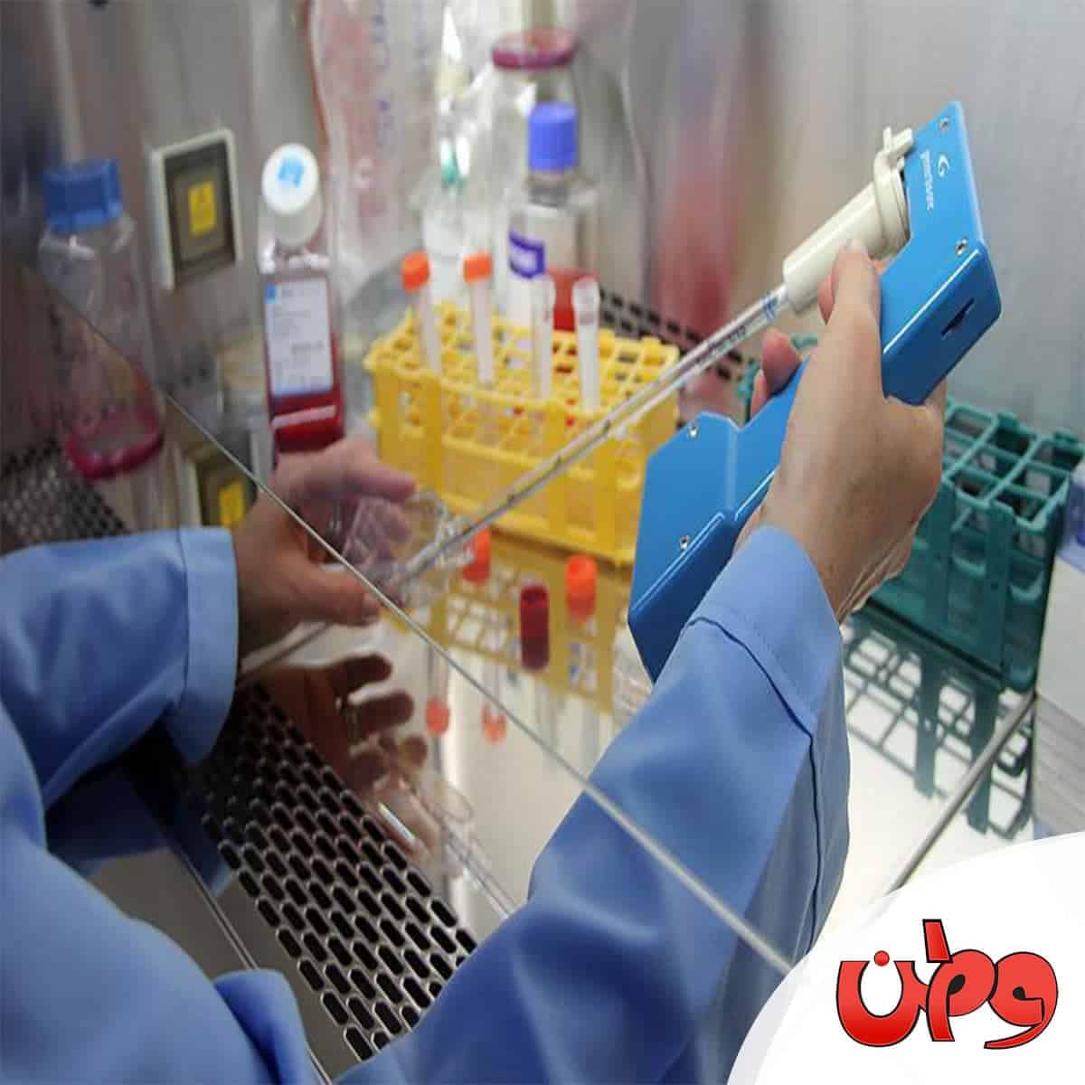 عالم فيروسات مصري watanserb.com