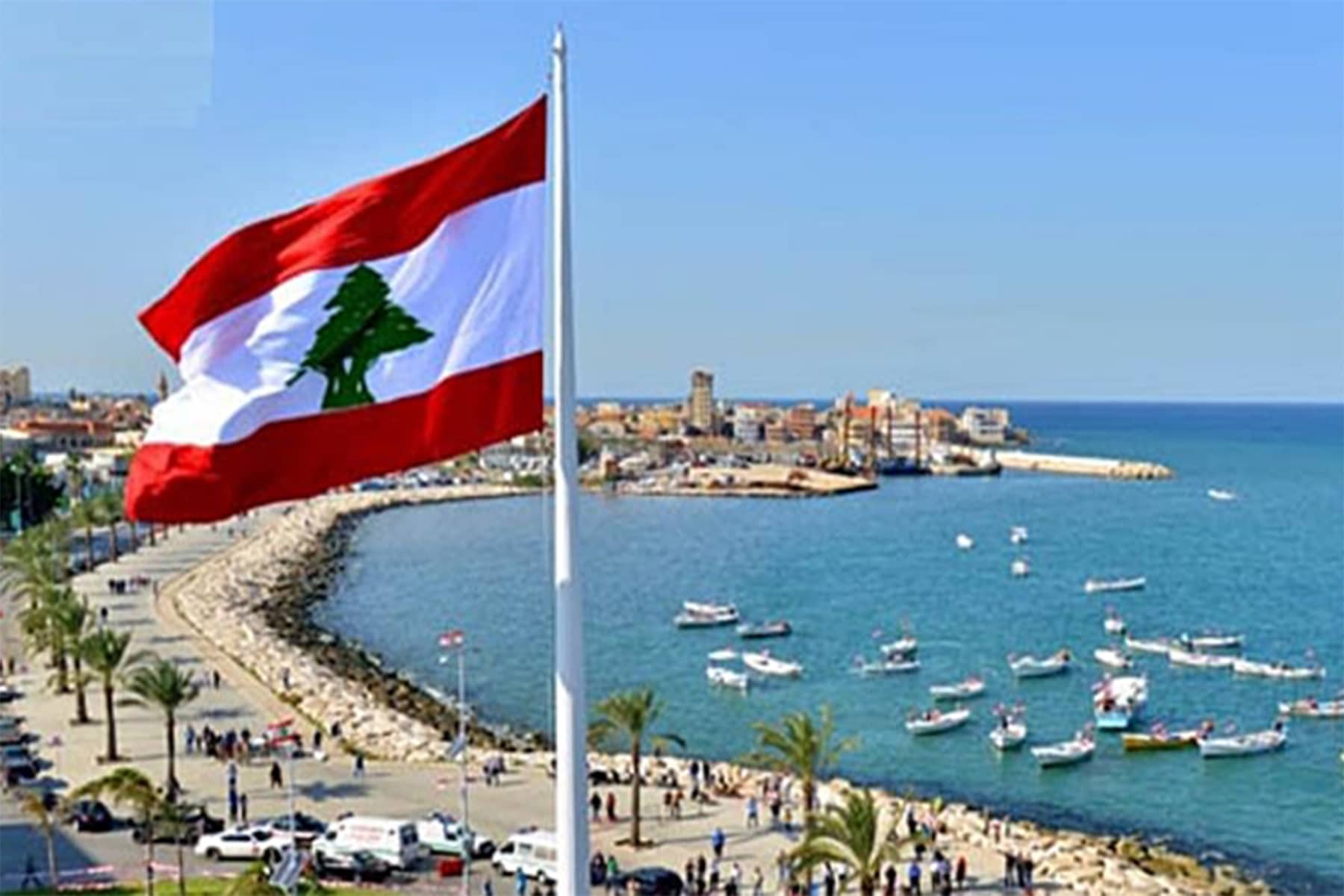 حملة لبنانية لمواجهة كورونا watanserb.com
