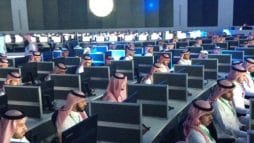 الذباب الاماراتي watanserb.com