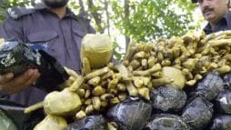 تاجر مخدرات في سلطنة عمان watanserb.com