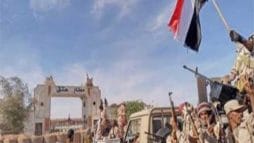 القوات الموالية للإمارات watanserb.com