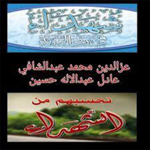 حادث بشع watanserb.com