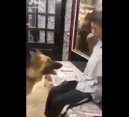 فيديو يظهر تعرض شاب من ذوي الاحتياجات الخاصة للتنمر