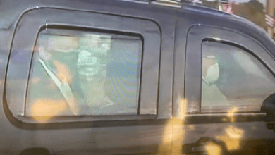 دونالد ترامب watanserb.com