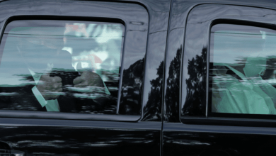 دونالد ترامب watanserb.com