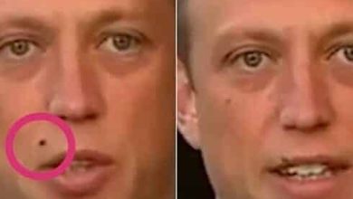 ستيف مايلز watanserb.com