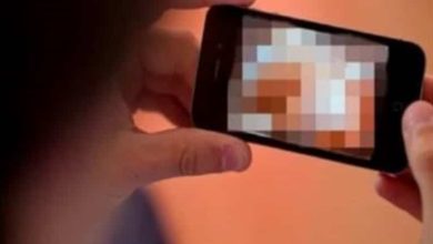 عنتيل الجيزة watanserb.com