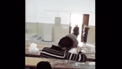 فيديو المدرج الجامعي watanserb.com