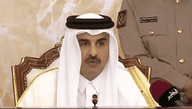 أمير قطر الشيخ تميم بن حمد watanserb.com