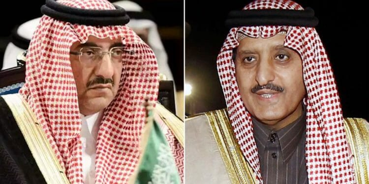 الأمير السعودي أحمد بن عبدالعزيز ومحمد بن نايف watanserb.com