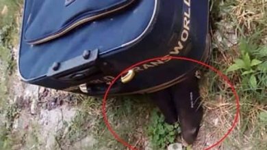 جثة في حقيبة watanserb.com