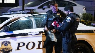 ديانا حواتمة watanserb.com