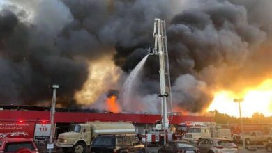 سوق الميرة الشويخ watanserb.com