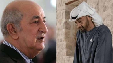 محمد بن زايد - عبدالمجيد تبون watanserb.com