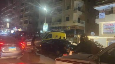 مذبحة حدائق الاهرام watanserb.com