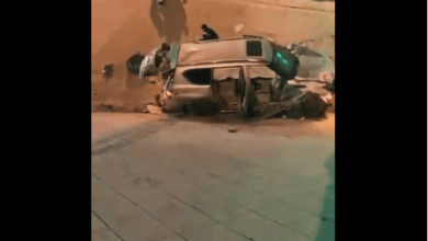 صورة من الفيديو watanserb.com