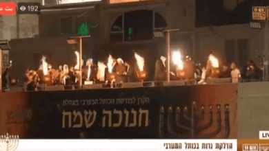 صورة من الفيديو watanserb.com