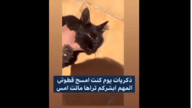 صورة من الفيديو watanserb.com