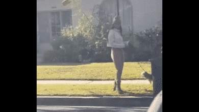 صورة من الفيديو watanserb.com