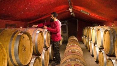 براميل النبيذ الإسرائيلي watanserb.com