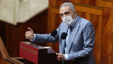 حفيظ العلمي watanserb.com