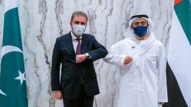 عبدالله بن زايد ونظيره الباكستاني watanserb.com