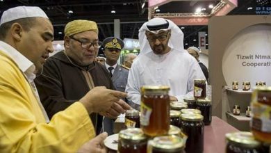 محمد السادس ومحمد بن زايد تطبيع المغرب watanserb.com