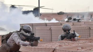 الجيش الاماراتي محمد بن زايد watanserb.com