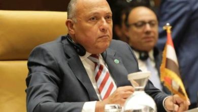سامح شكري وزير خارجية مصر watanserb.com