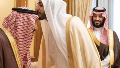 سفير الإمارات شخبوط بن نهيان آل نهيان يغادر السعودية watanserb.com