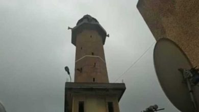 صورة من الفيديو watanserb.com