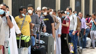 الجالية المصرية في الكويت watanserb.com