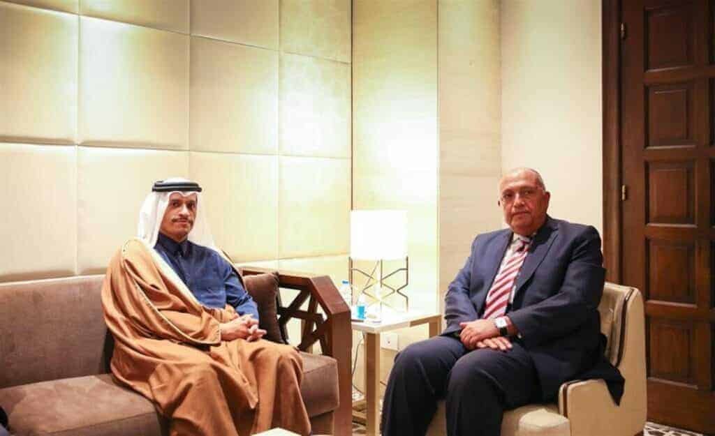 سامح شكري يصف قطر بالدولة الشقيقة watanserb.com